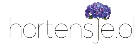 Logo klienta eCommerceo